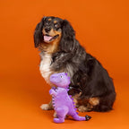 Fringe Studio Pet Toy, Don't BE A Drag-ON Plush Dog Toy, PetShop Collection (314626)