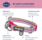 Blueberry Pet Safety Dog Collar with Dual D-Rings | 3M Reflective Multi-Colored Adjustable Collar in Pink and Pastel Blue | Soft Nylon Dog Collar for Active Large Dogs