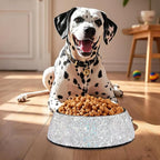SlowVibes Bling Stainless Steel Dog Cat Bowl, Detachable, 18 oz | Rhinestone metal food or water bowl for medium large dogs and cats, rust-resistant non-slip puppy dish, sparkle pet essential