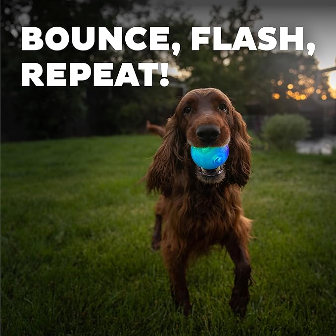 Outward Hound by Planet Dog Strobe Light Up LED Ball Dog Toy, Blue