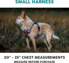 Embark Adventure Dog Harness, Reflective Trim No Pull Dog Harnesses for Small Sized Dogs - Military Grade Nylon, Front Clip with Gel Lined Handle. Soft & Padded Puppy