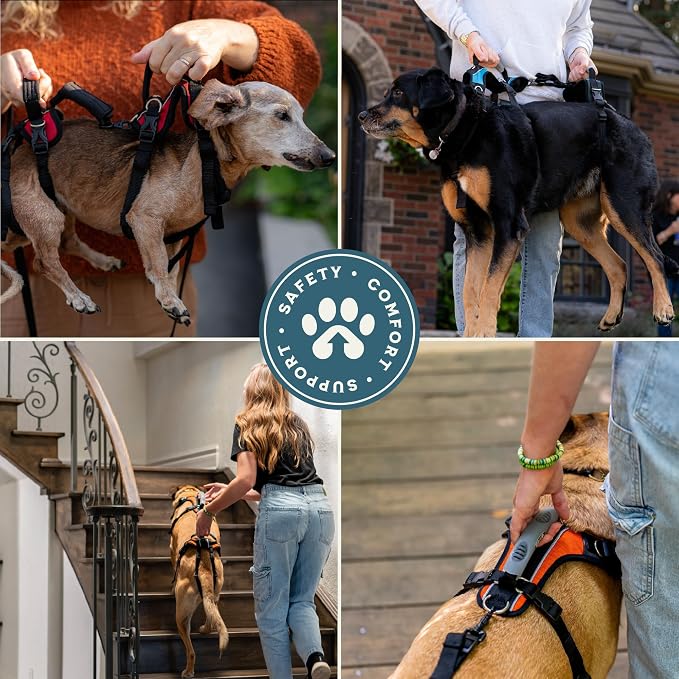 Help 'Em Up® - Dog Lift Harness│ Adjustable Lifting Harness for Dogs │ Full Body Support, Rear Leg Support (Conventional, Small, 25-45 lbs)
