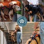 Help 'Em Up® - Dog Lift Harness│ Adjustable Lifting Harness for Dogs │ Full Body Support, Rear Leg Support (Conventional, XL, 125-225 lbs)