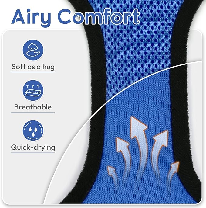 Dooradar Cat Harness and Leash Set, Escape Proof Safe Adjustable Kitten Vest Harnesses for Walking, Easy Control Soft Breathable Mesh Jacket with Reflective Strips for Cats, Blue, S