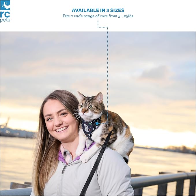 RC Pets Adventure Kitty Cat Harness | Adjustable Airmesh Vest with D-Ring and 6ft Leash for Walking and Travel | Marigold, Large