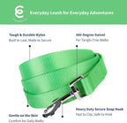 Blueberry Pet Essentials Neon Green Dog Leash for X-Small -5' * 3/8" Dogs | Heavy Duty Nylon Lead | Lightweight Puppy & Cat Leash for Walking & Training