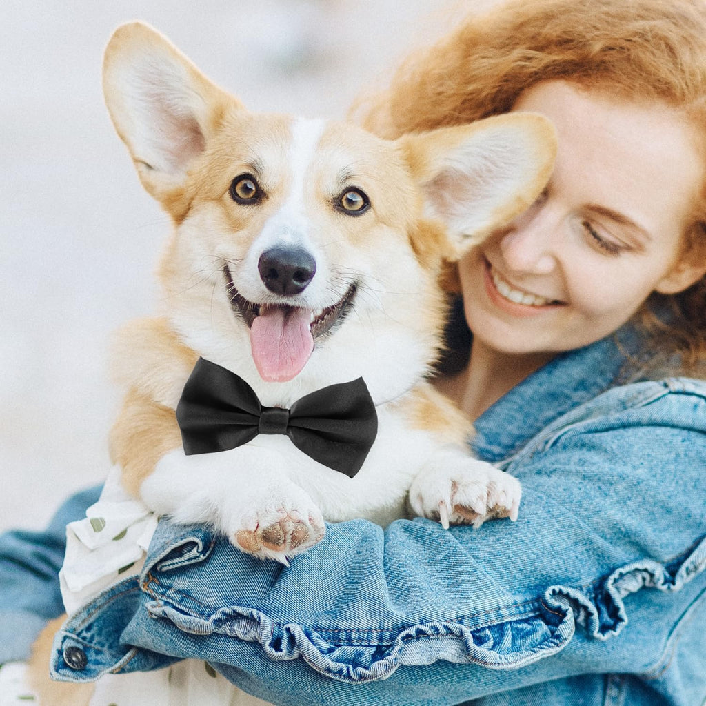 Black Dog Bow Tie. A calm, considered pick for modern pet homes.