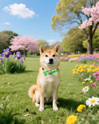 PET SHOW 10 Pack Floral Big Dog Bow Ties for Large. Chosen for real quality, not just packaging.