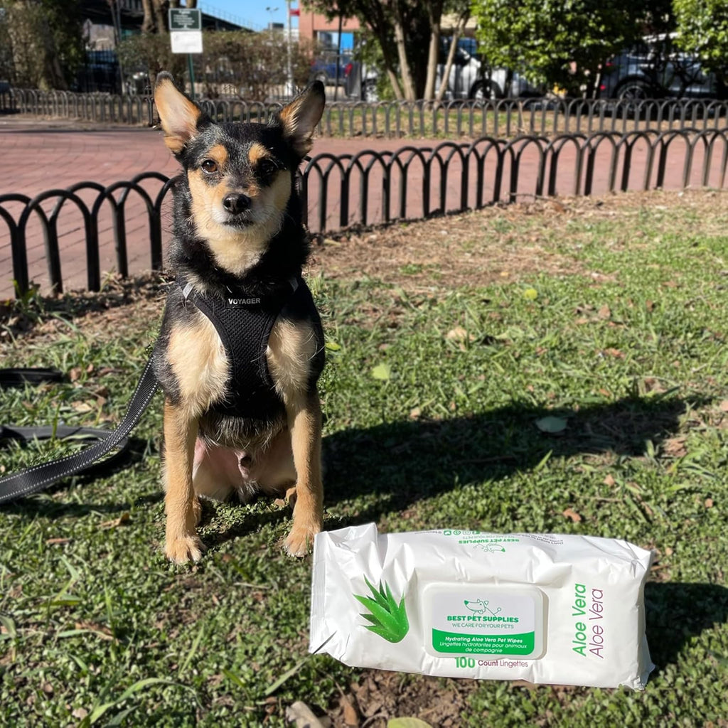 Best Pet Supplies Pet Grooming Wipes for Dogs & Cats. Sized and styled for real homes, not just a listing photo.