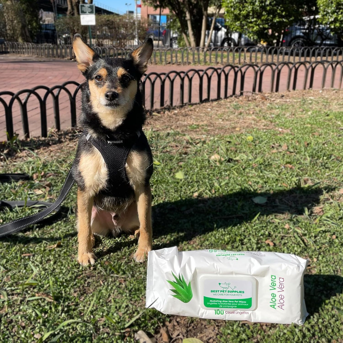 Best Pet Supplies Pet Grooming Wipes for Dogs & Cats. Sized and styled for real homes, not just a listing photo.
