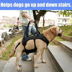 COODEO Dog Lift Harness for Large Dogs, Full Body Support Mobility Aid for Senior Dogs, Adjustable Help for Weak Hind Legs, Arthritis, Stairs & Cars(Black,S)