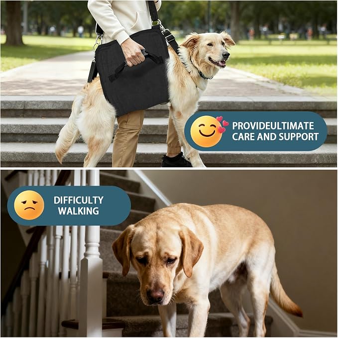 Adjustable Dog Lift Harness, Dog Carry Sling Provides Rear Leg Support for Senior Dogs, Arthritis and After ACL Surgery Dogs,Suitable for Medium to Large Dogs,Black XXL