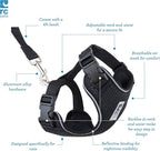RC Pets Adventure Kitty Cat Harness | Adjustable Airmesh Vest with D-Ring and 6ft Leash for Walking and Travel | Azalea, Medium