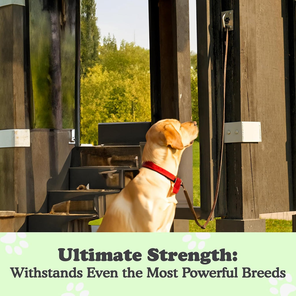 Canine Hitch. A thoughtful pick for calmer daily routines.