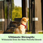 Canine Hitch. A thoughtful pick for calmer daily routines.