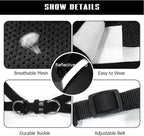FEimaX Dog Harness and Leash Set for Walking, Soft Mesh Adjustable Easy Control Lightweight Cat Vest Harnesses with Reflective Strips, Escape Proof Small Dogs Cats Vests (Black, X-Small)