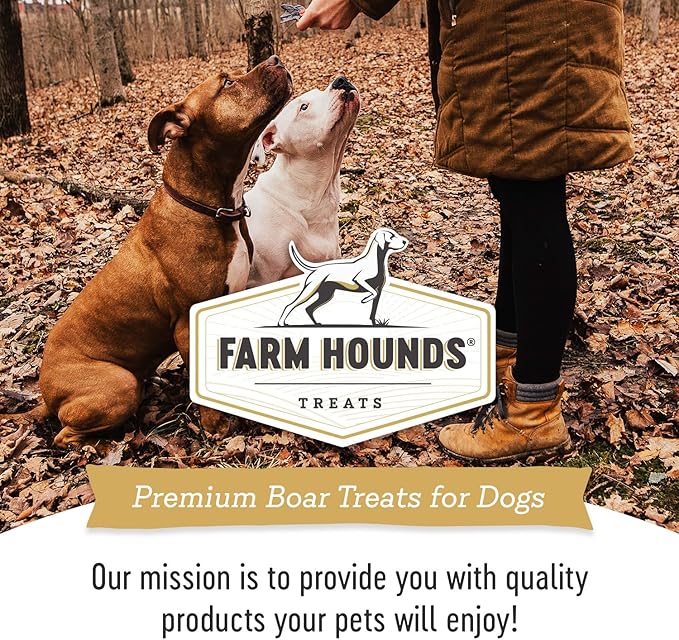 Farm Hounds - Boar Trainers - Premium Natural Jerky for Dogs - from 100% Humanely Raised Boar - Easy-Break - Great for Training & Treats - No Added Fillers - Made in USA - 4.5 oz - 2 Pack