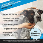 Pet Honesty Chlorhexidine Cat & Dog Seasonal Itch Relief Shampoo, for Allergies, Itching, Skin and Coat Supplement, Helps Shedding, Hot Spots, Deodorizing Dog Shampoo & Grooming Supplies,16oz