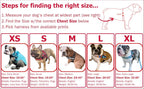 Adjustable Dog Harness– No Pull, No Choke – for English Bulldogs, French Bulldogs, Pugs & Broad-Chested Breeds – Easy, Safe Walks (BLUEWHITE, Medium)