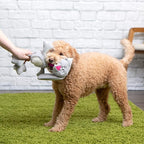 goDog Multi Tugs Rabbit Squeaky Plush & Rope Dog Toy, Chew Guard Technology - Gray, Small