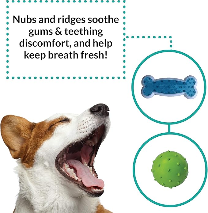 rocket & rex Dog Chew Toy Set for Small to Medium Breeds, Includes All Natural Rubber, Cotton, Ball & Rope Toys, Ideal Puppy Chew Toys for Teething, Reduces Destructive Chewing & Anxiety (Pack of 6)