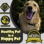 H&H Pets Bamboo Toothbrush Set for Dogs and Cats - Ultra Soft Bristles & Biodegradable Wooden Toothbrush, Puppy Supplies, Dog Dental Set, Eco-Friendly Pet Supplies (Large; 3-Count Pack)