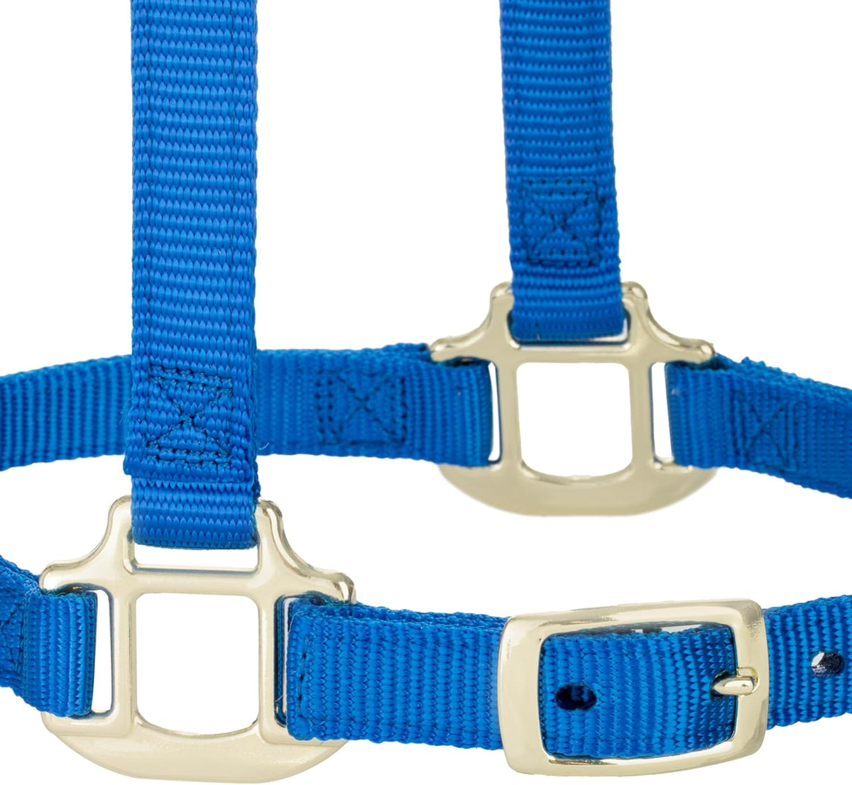 Weaver Equine Breakaway Horse Halter, Supple Leather Crown, Adjustable Chin & Throat Snap Halters for Horses, Equine Tack