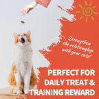 Just Try 16 OZ Carrot Cat Treats for Indoor Cats, Vitamin-Rich Natural Chicken Flavor Healthy Cat Snacks Training Biscuits Eye Health & Skin Support for Cats