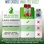 Small Pet Select - Healthy Snackers - Apple
