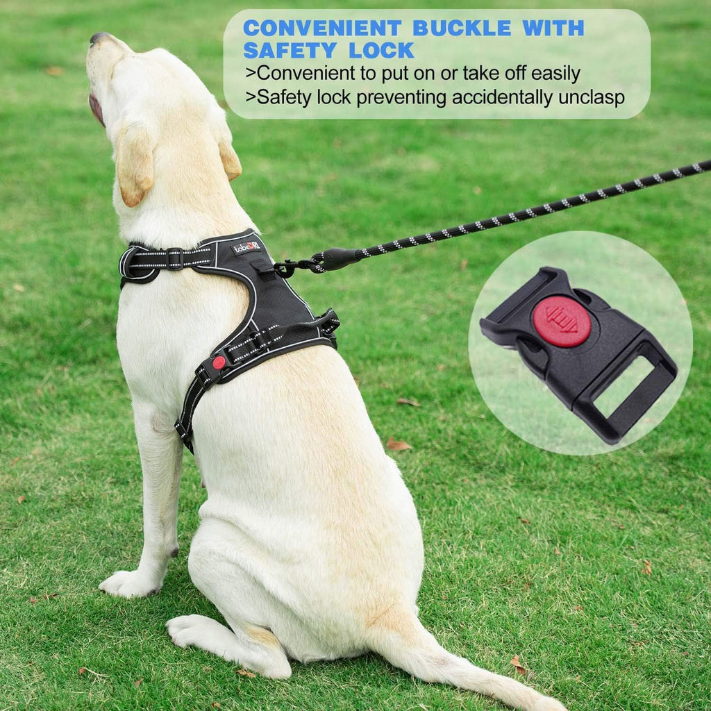 No Pull Dog Harness Adjustable Reflective Oxford Easy Control Medium Large Dog Harness with A Free Heavy Duty 5ft Dog Leash (M (Neck: 14.5"-20.5", Chest: 22"-28"), Red Harness+Leash)