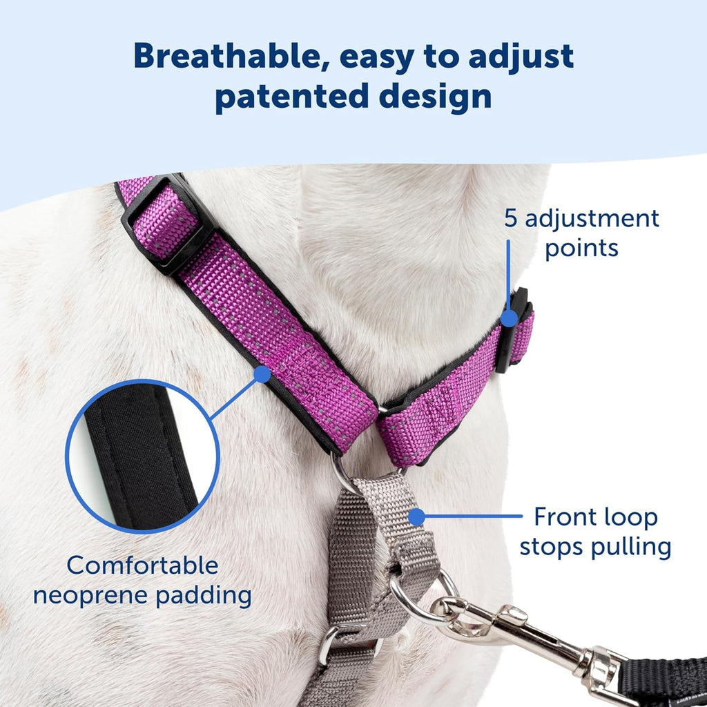 PetSafe 3 in 1 Dog Harness - No Pull Solution for Dogs - Reflective Dog Harness - Front D-Ring Clip Helps Stop Pulling - Comfortable Padded Straps - Top Handle Enhances Control - Black - Large