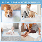 Puppy Pee Pads for Dogs Extra Large 31""x47"" 40 Count, Leak-Proof & Super Absorbent, Thicken Disposable Potty Training Pads for Doggie Cats Rabbits, Quick Dry Pet Piddle Pad, Blue&white
