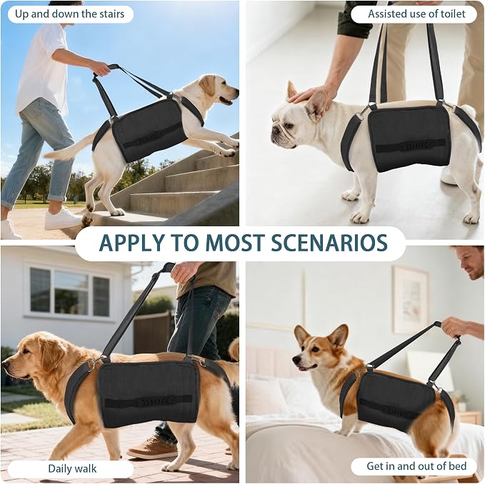 Adjustable Dog Lift Harness, Dog Carry Sling Provides Rear Leg Support for Senior Dogs, Arthritis and After ACL Surgery Dogs,Suitable for Medium to Large Dogs,Black XXL