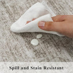 Washable 3x6 Neutral Area Rugs: Water-Resistant Kitchen Rug Low Pile Soft Beside Carpet for Bedroom Nursery Anti-Slip Entryway Bathroom Runner Rug Thin Distressed Hallway Floor Mat(3x6,Beige/Ivory)