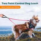 PetBonus Two Point Control Dog Leash, Works with No Pull Harnesses, No Tangle Training Leashes, Soft Padded and Reflective Walking Lead, Converts to Single Lead for Medium Large Dogs (Pink)