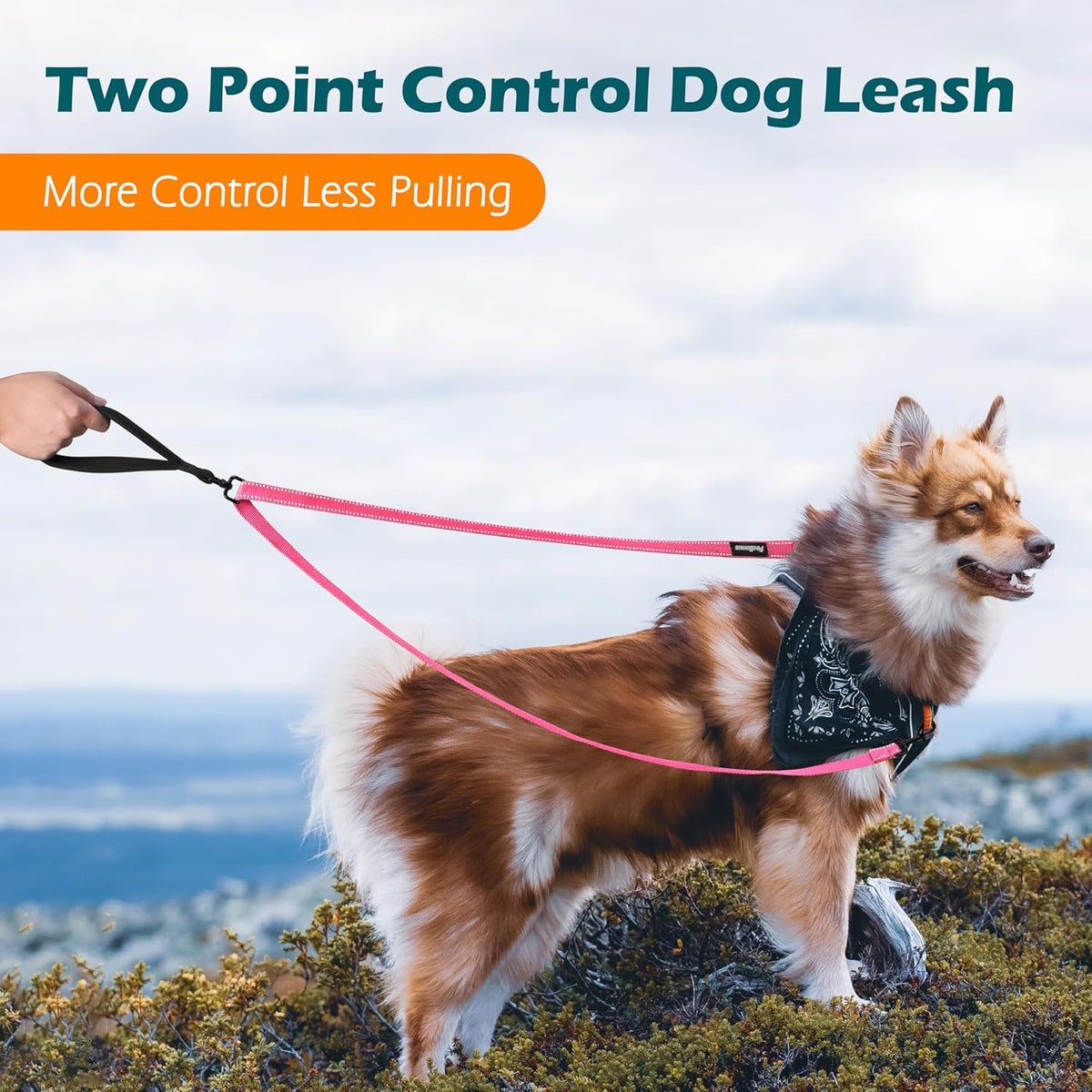 PetBonus Two Point Control Dog Leash, Works with No Pull Harnesses, No Tangle Training Leashes, Soft Padded and Reflective Walking Lead, Converts to Single Lead for Medium Large Dogs (Pink)