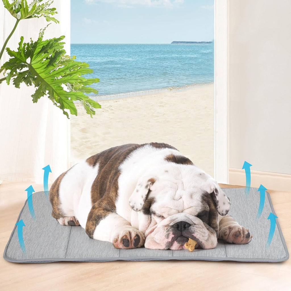 Dog Cooling Mat for Medium Dogs - 30x20 Orthopedic Memory Foam Pet Pad for Summer, QMAX>0.5, Washable Premium Comfort Crate Pad for Your Furry Companion, Grey