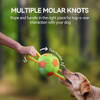 ALL FOR PAWS Dog Ball with Handles, Dog Toy with Squeaker, Interactive Tug of War Ball Toy for Small and Medium Dogs, 12.6 x 5.9 x 5.9 Inch