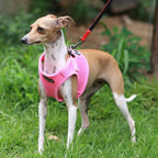 PUPPIA International Puppia Harness Soft B Vest Pink XXLarge
