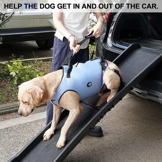 Coodeo Dog Lift Harness, Pet Support & Rehabilitation Sling Lift Adjustable Padded Breathable Straps for Old, Disabled, Joint Injuries, Arthritis, Loss of Stability Dogs Walk (Blue, XL)