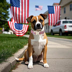 DOGWONG American Flag Dog Collar, Patriotic Independence Day Dog Collar Soft Fabric Pet Dog Collars, Boy Red White and Blue Necklace for Small Medium Large Dogs