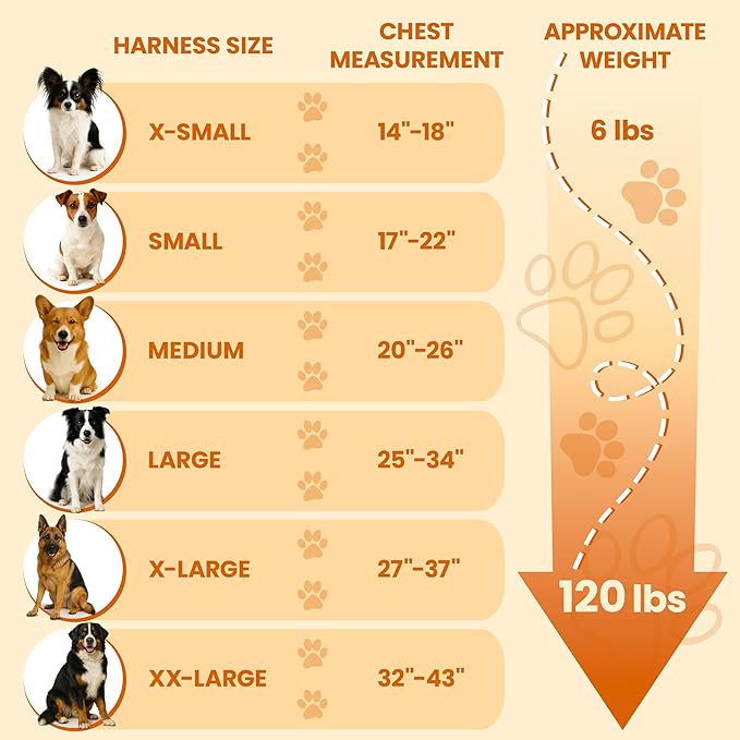 Bark Appeal Red No-Pull Dog Harness for Extra Large Sized Pets – Adjustable, Reflective Vest with 3 Leash Clips for Added Control, Easy Walks & Training – XXL