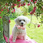Elegant little tail Dog Collar, Pink Rose Print Pet Collar Summer Dog Collar Durable Metal Buckle Dog Collars Cotton Pet Adjustable Dog Collars for Medium Dogs