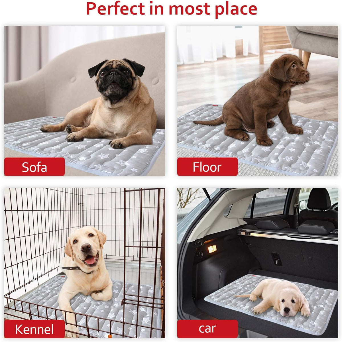 Dog Crate Mat (21" X 14"), Soft Dog Bed Mat with Cute Prints, Personalized Crate Pad, Anti-Slip Bottom, Machine Washable Kennel Pad