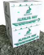 High Desert Alfalfa Hay for Rabbits, Guinea Pigs, Chinchillas & Small Pets – Protein-Rich Natural Hay for Young, Growing Animals – High-Fiber, Hand-Packed, Additive-Free, Grown in USA – 10 lb Box