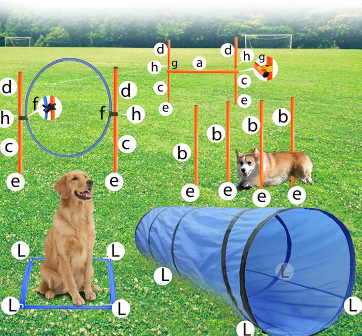 Dog Agility Training Equipment, Obstacle Agility Training Starter Kit for Doggie, Including Tunnel, 13 Weave Poles, Adjustable Hurdle, Jump Ring, Pause Box and Carrying Bag(Blue)