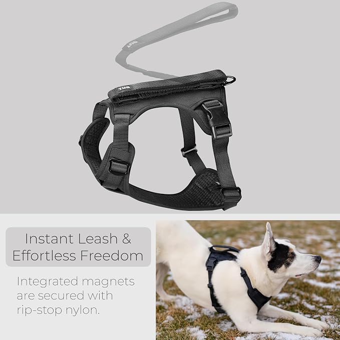 TUG Grab Dog Harness with Built-in Magnetic Traffic Leash (Medium/Black) | Padded Magnetic Traffic Handle | Dual Leash Clips | 4-Point Adjustable Fit | Durable Nylon