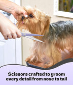 Fenice Peak 7" Professional Dog Grooming Scissors Set, Japanese 440C Stainless Steel Straight Thinning Curved Chunker Shears for Pet Grooming, Trimming Face, Paws, Violet