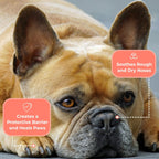 COAT DEFENSE Something Better Balm | Made in USA | Nose & Paw Balm | Lick Safe, Healing and Deeply Moisturizing | Paw Soother for Dogs & Dog Skin Soother (1.5 OZ)