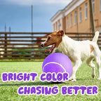 Big Tennis Ball for Dogs, Giant Dog Tennis Ball Toy Large Outdoor Sports Gift for Small Medium Large Dog (Purple, 9.5 inch)